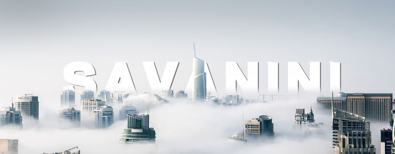 立志实现玩车梦的自主品牌:Savanini 萨瓦尼尼