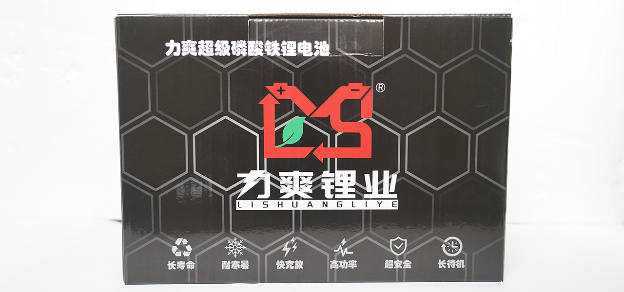 力爽超级磷酸铁锂电池技术说明